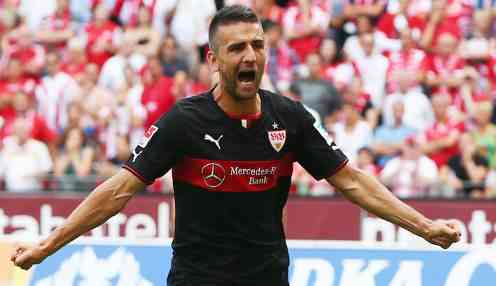 Vedad Ibisevic
